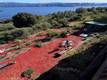 8874 FAIRWAY DRIVE KELSEYVILLE, CA 95451