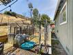 2888 MEADOW CREEK CLEARLAKE OAKS, CA 95423