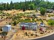 9538 ANGELLY WAY COBB, CA 95426