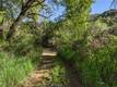 6400 SCOTTS VALLEY LAKEPORT, CA 95453