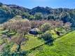 6400 SCOTTS VALLEY LAKEPORT, CA 95453