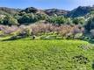 6400 SCOTTS VALLEY LAKEPORT, CA 95453
