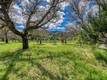 6400 SCOTTS VALLEY LAKEPORT, CA 95453