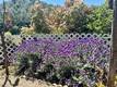 7282 MARIN STREET NICE, CA 95464