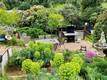 7282 MARIN STREET NICE, CA 95464