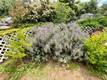 7282 MARIN STREET NICE, CA 95464