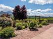 4720 CLARK KELSEYVILLE, CA 95451