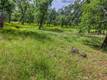 5290 LAKE BOULEVARD LOWER LAKE, CA 95457