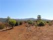 19800 CANTWELL RANCH ROAD LOWER LAKE, CA 95457
