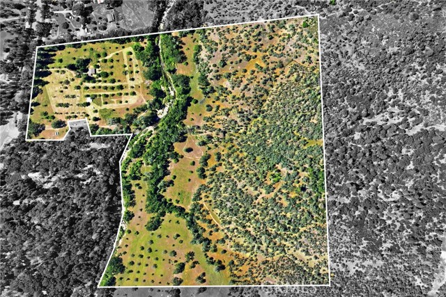 22550 SHADY GROVE ROAD MIDDLETOWN, CA 95461
