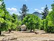 22550 SHADY GROVE ROAD MIDDLETOWN, CA 95461