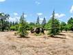 22550 SHADY GROVE ROAD MIDDLETOWN, CA 95461
