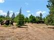 22550 SHADY GROVE ROAD MIDDLETOWN, CA 95461