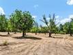 22550 SHADY GROVE ROAD MIDDLETOWN, CA 95461