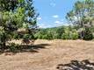 22550 SHADY GROVE ROAD MIDDLETOWN, CA 95461