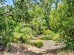 22550 SHADY GROVE ROAD MIDDLETOWN, CA 95461