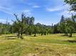 22550 SHADY GROVE ROAD MIDDLETOWN, CA 95461