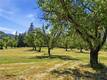 22550 SHADY GROVE ROAD MIDDLETOWN, CA 95461