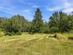 22550 SHADY GROVE ROAD MIDDLETOWN, CA 95461