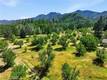 22550 SHADY GROVE ROAD MIDDLETOWN, CA 95461