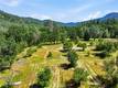 22550 SHADY GROVE ROAD MIDDLETOWN, CA 95461