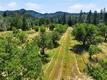 22550 SHADY GROVE ROAD MIDDLETOWN, CA 95461