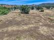 1623 NEW LONG VALLEY ROAD CLEARLAKE OAKS, CA 95423