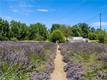 4550 SODA BAY KELSEYVILLE, CA 95451
