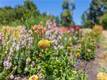 4550 SODA BAY KELSEYVILLE, CA 95451