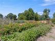 4550 SODA BAY KELSEYVILLE, CA 95451