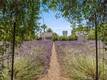 4550 SODA BAY KELSEYVILLE, CA 95451