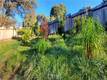 10458 CHATTEN COURT CLEARLAKE OAKS, CA 95423