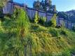 10458 CHATTEN COURT CLEARLAKE OAKS, CA 95423