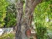 7926 RICHARD DRIVE LUCERNE, CA 95458
