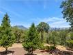 10550 SEIGLER SPRINGS NORTH ROAD KELSEYVILLE, CA 95451