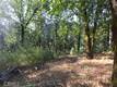 15305 WESTERN MINE ROAD MIDDLETOWN, CA 95461