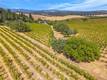 9300 SEIGLER SPRINGS NORTH KELSEYVILLE, CA 95451