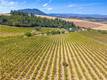 9300 SEIGLER SPRINGS NORTH KELSEYVILLE, CA 95451