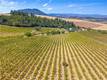 9300 SEIGLER SPRINGS NORTH KELSEYVILLE, CA 95451