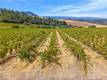 9300 SEIGLER SPRINGS NORTH KELSEYVILLE, CA 95451