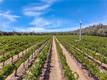 7555 HIGHWAY 29 KELSEYVILLE, CA 95451