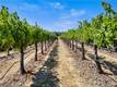 7555 HIGHWAY 29 KELSEYVILLE, CA 95451