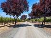 7555 HIGHWAY 29 KELSEYVILLE, CA 95451