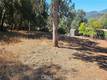 15535 23RD AVENUE CLEARLAKE, CA 95422