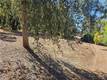 15535 23RD AVENUE CLEARLAKE, CA 95422