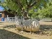 20511 SANTA BARBARA AVENUE MIDDLETOWN, CA 95461