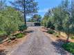 12431 ELK MOUNTAIN UPPER LAKE, CA 95485