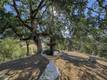 12431 ELK MOUNTAIN UPPER LAKE, CA 95485