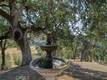 12431 ELK MOUNTAIN UPPER LAKE, CA 95485