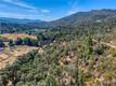12431 ELK MOUNTAIN UPPER LAKE, CA 95485